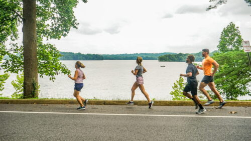 November  Half Marathon Training Store Lead