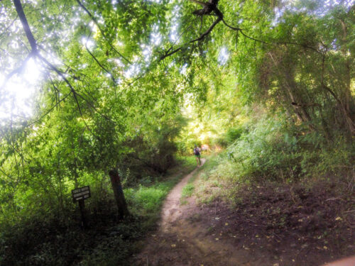 2025 Spring  50K Training Store Lead