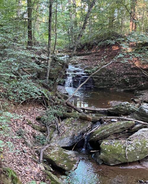 Summer Trails For Fun Training Store Lead